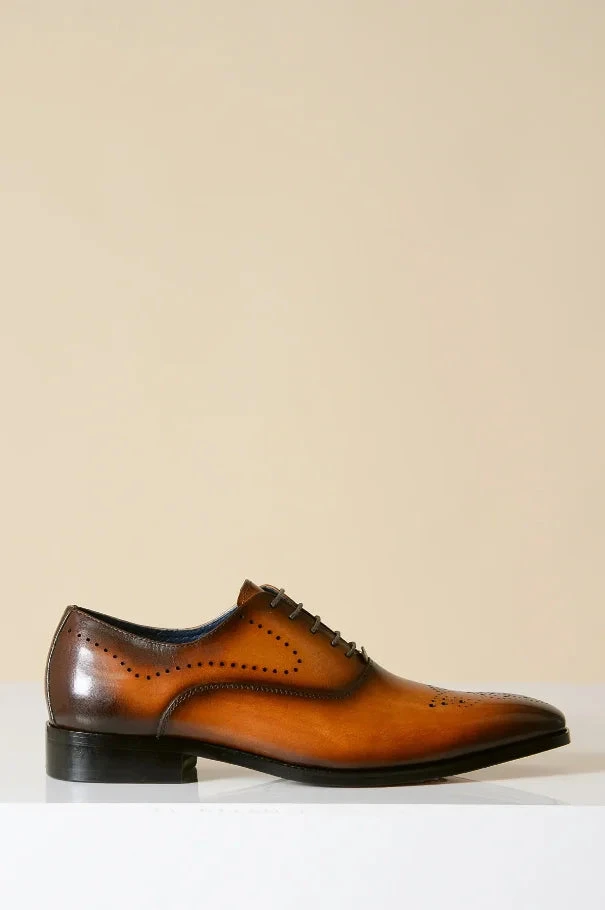 Braune Lederschuhe, Marc Darcy Jake - Wingtip Brogue 1 Braune Lederschuhe, Marc Darcy Jake - Wingtip Brogue